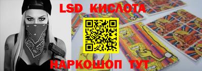 прущие грибы Будённовск