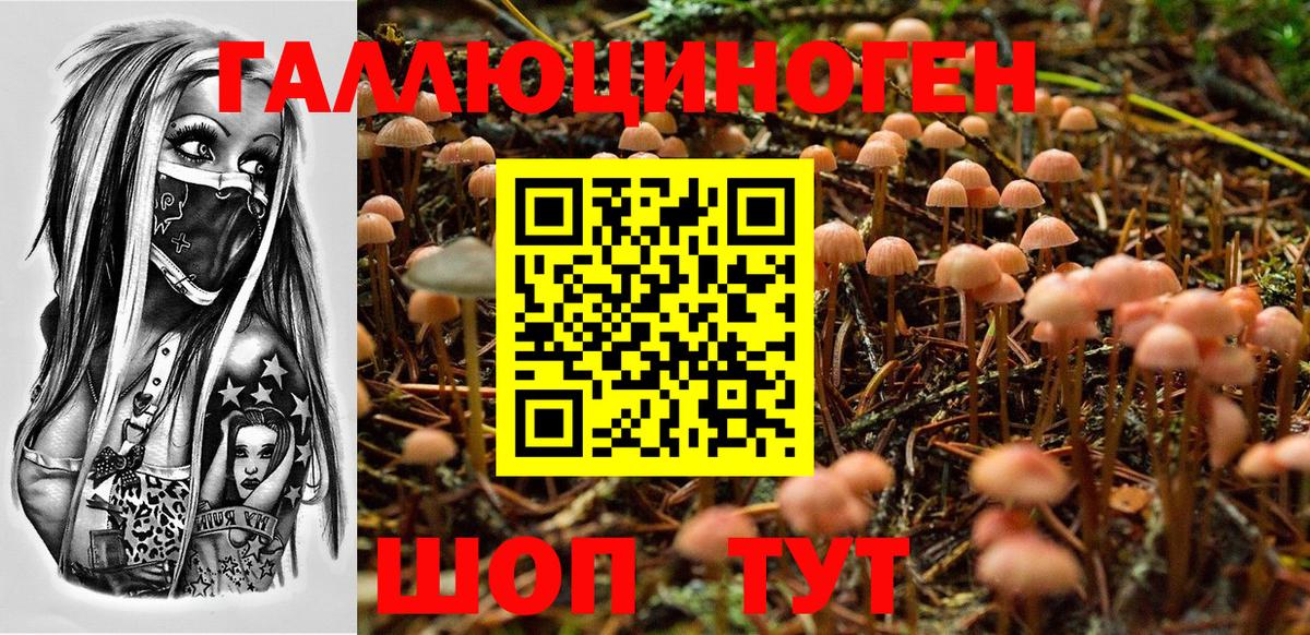 купить наркоту  Вход с VPN  Сальск  Галлюциногенные грибы Magic Shrooms  Галлюциногенные грибы Psilocybe 