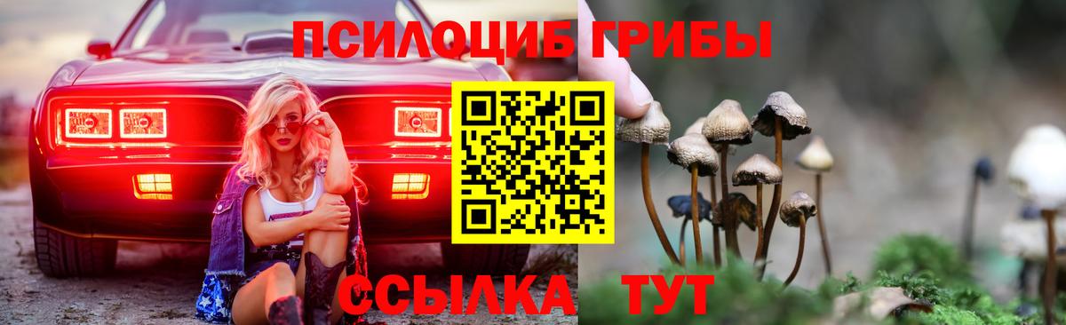 Псилоцибиновые грибы мицелий Сальск